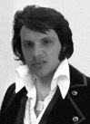 ELVIS MAN