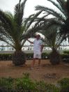 happy mallorca